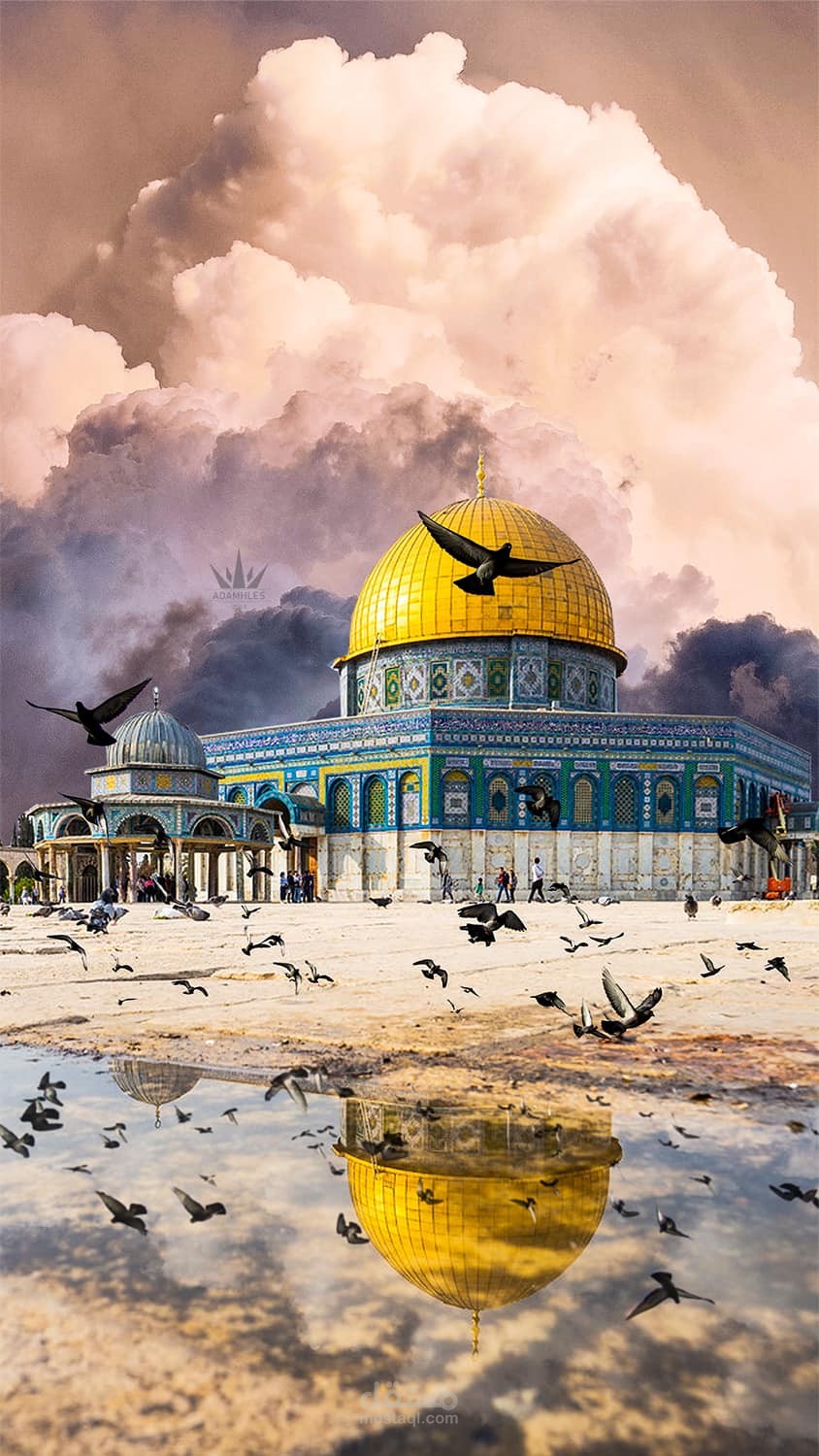 "فلسطين: أرض الأمل والتحديات"