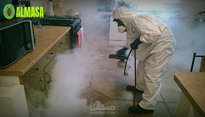 أفضل شركة مكافحة حشرات