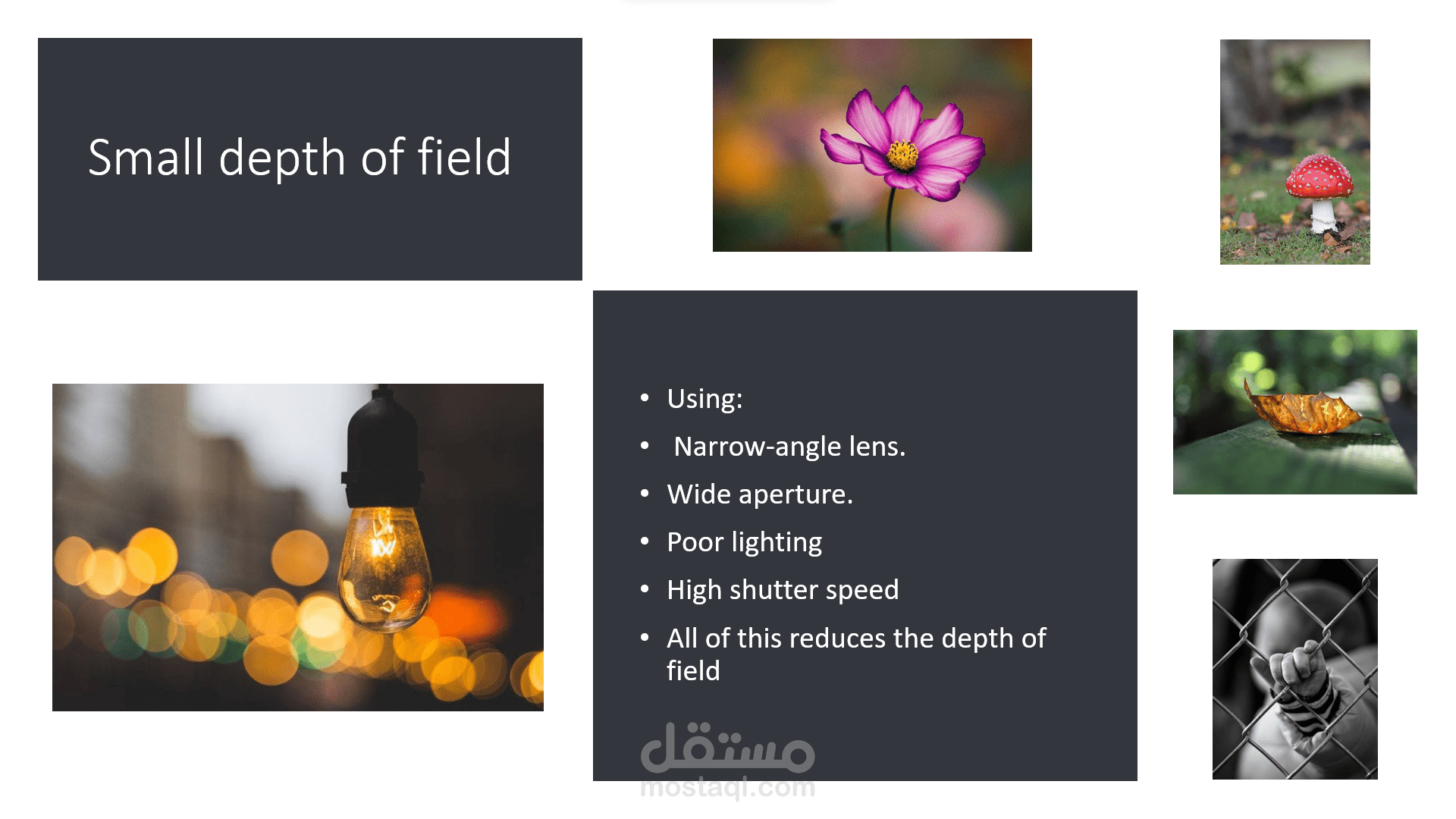 powerpoint presentation talking about types of photos
