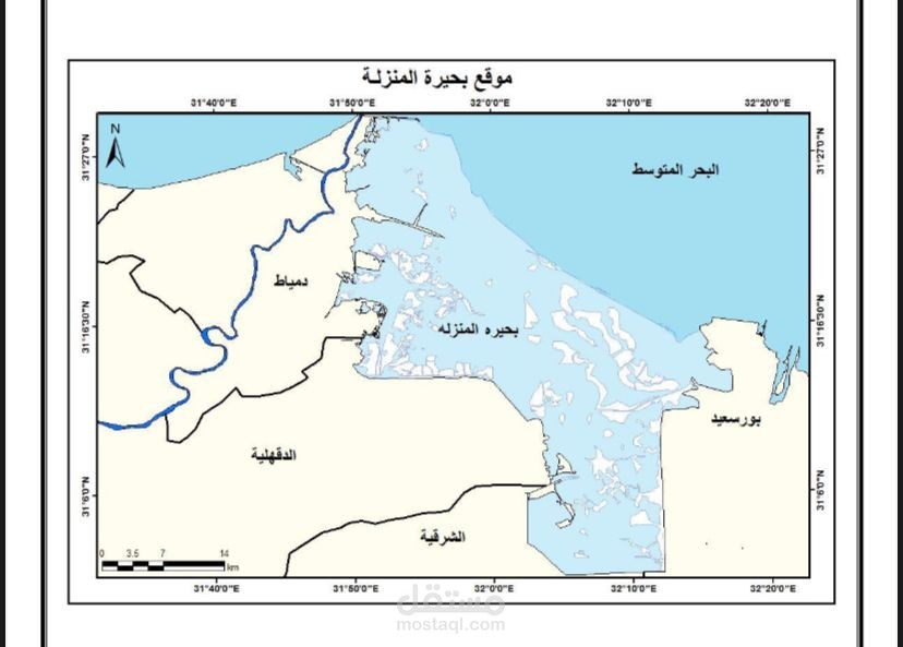 •Research the natural and environmental field study of the pollution of Lake Manzala with industrial pollutants using geographic information systems