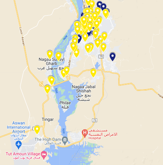 Egypt Healthcare Authority
