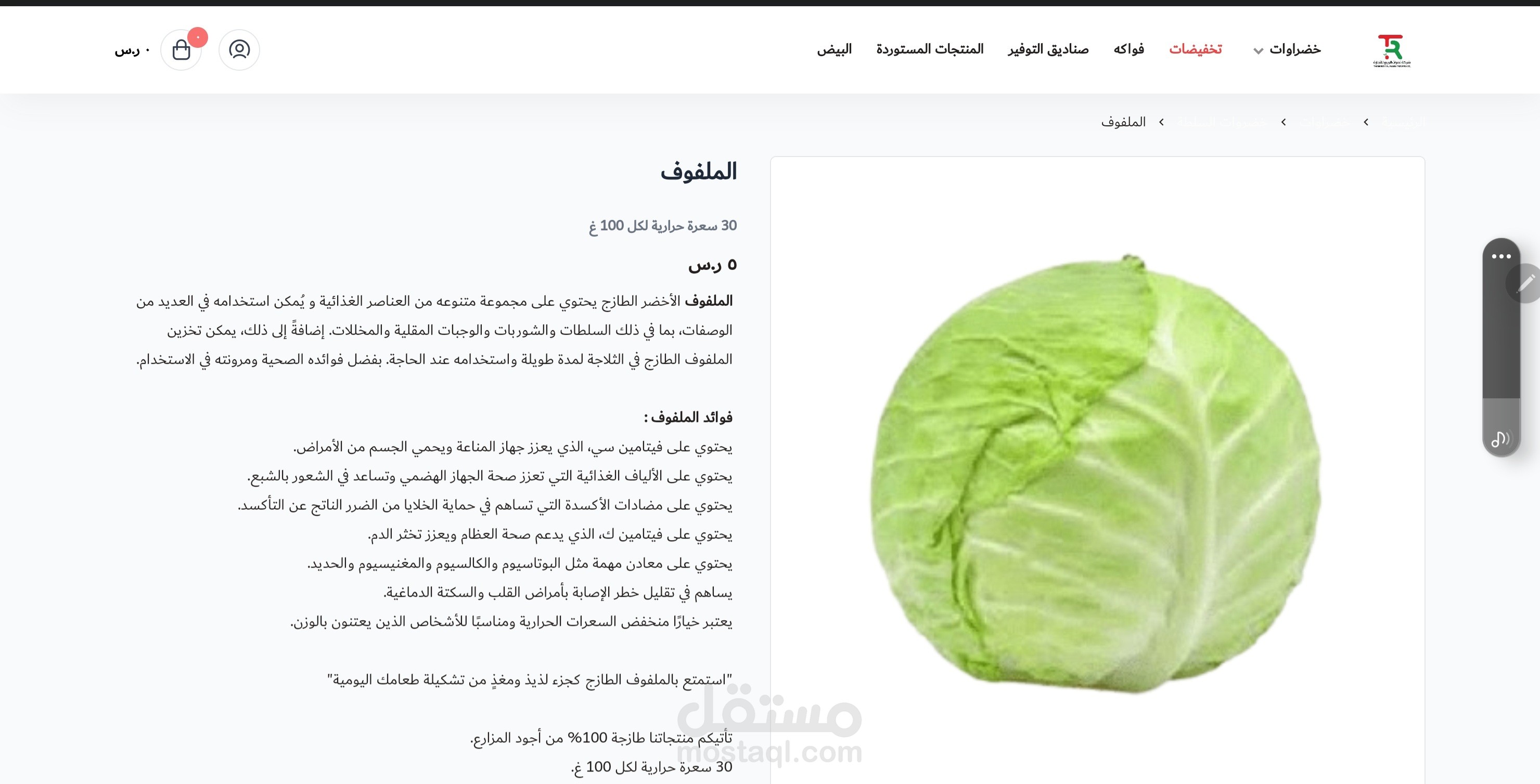 كتابة محتوى وصف منتجات لموقع إلكتروني