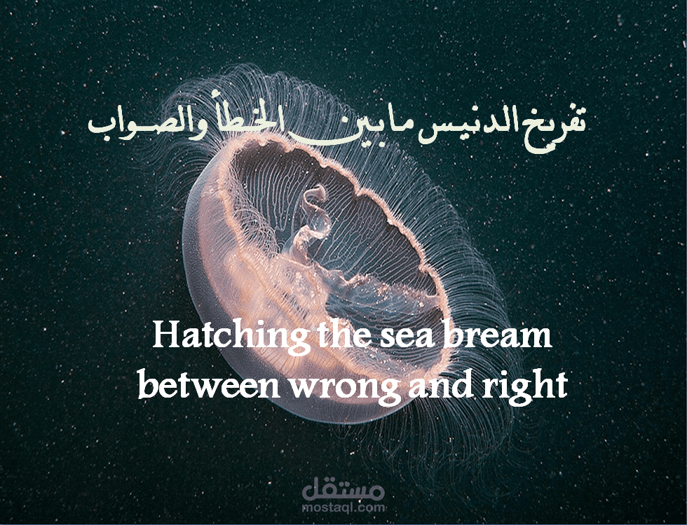 عرض تقديمي باور بوينت