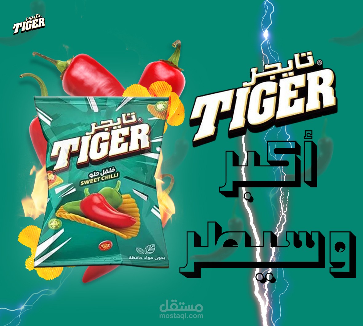 تصميم تايجر