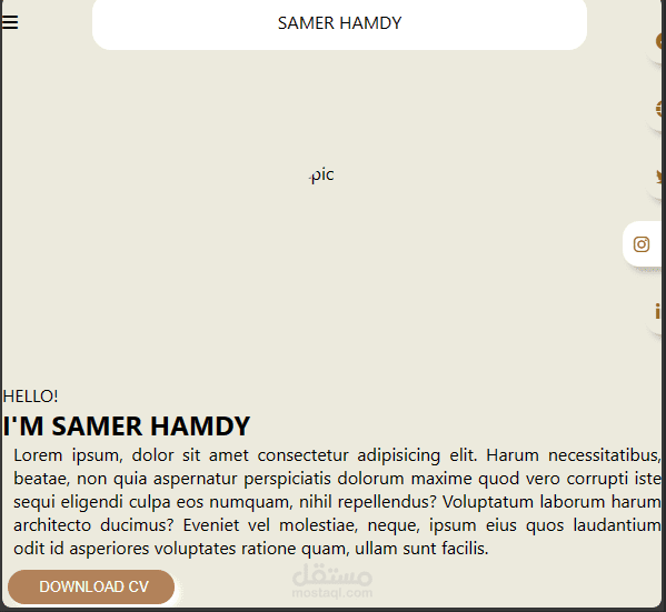 sample of portofolio