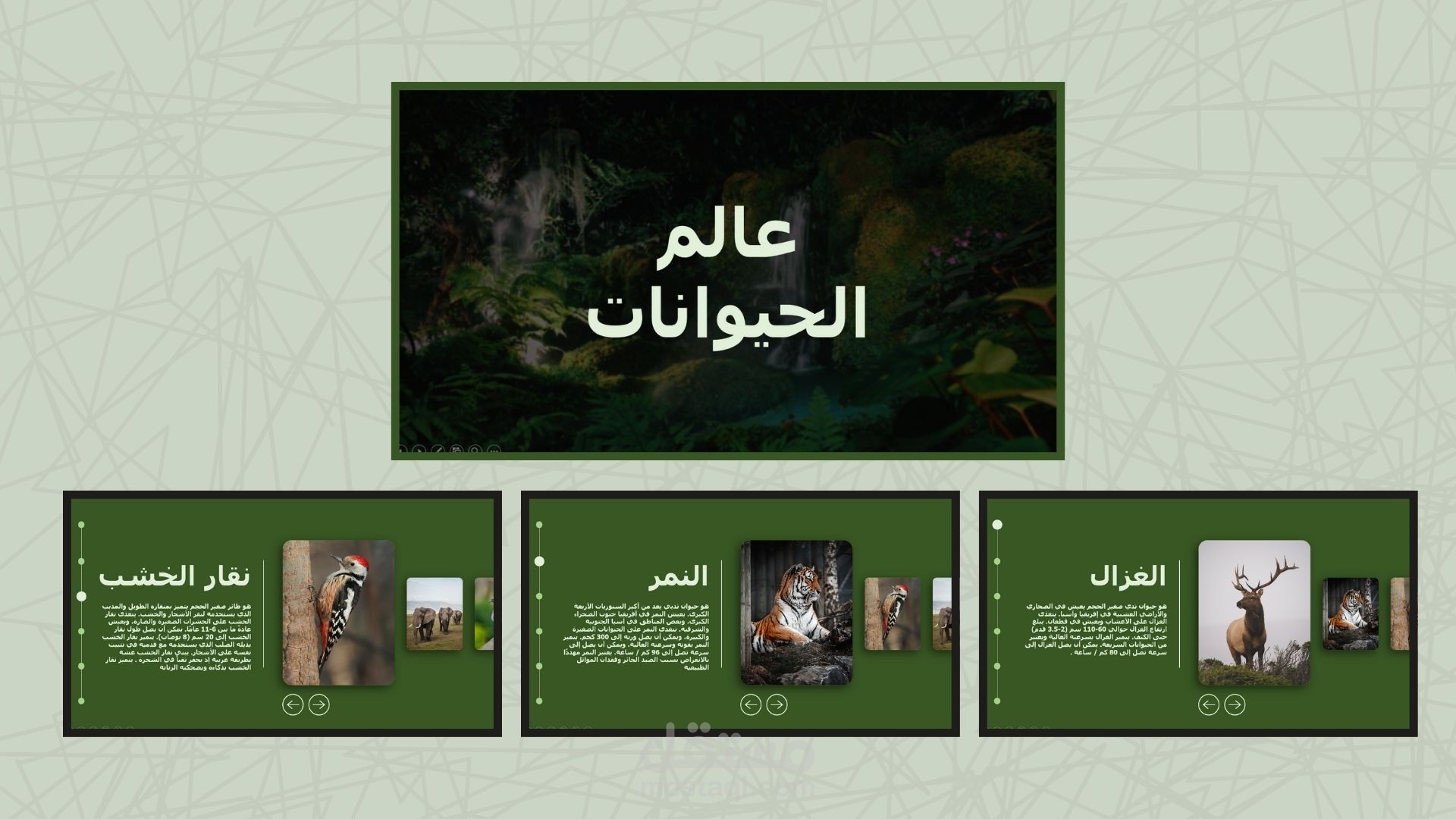 عالم الحيوانات