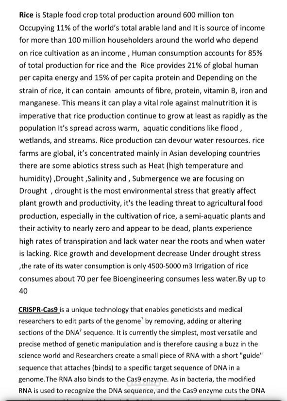 Genetic engineered rice with crisper tool