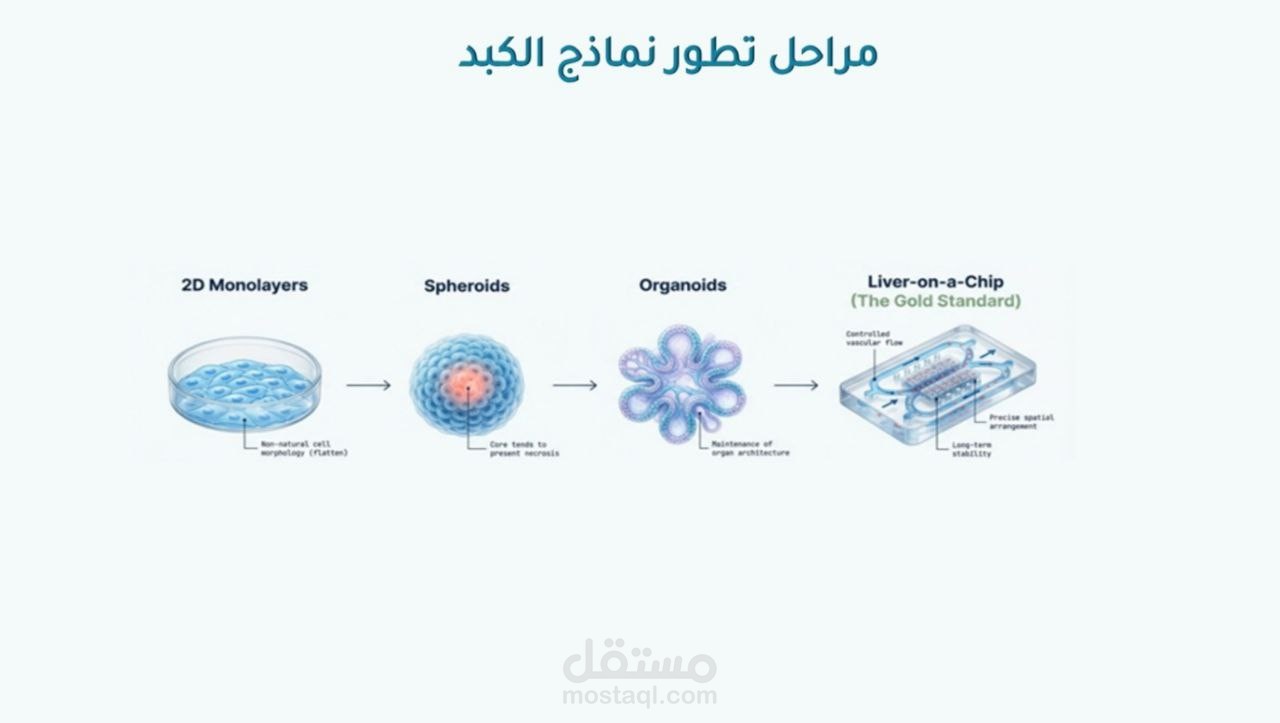 تصميم عرض PowerPoint علمي احترافي.