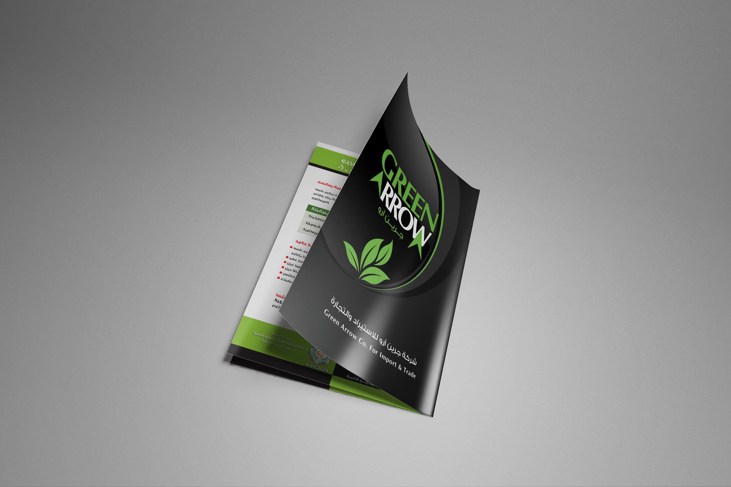 تصميم بروفايل شركة /  Profile Brochure ( Company Profile)