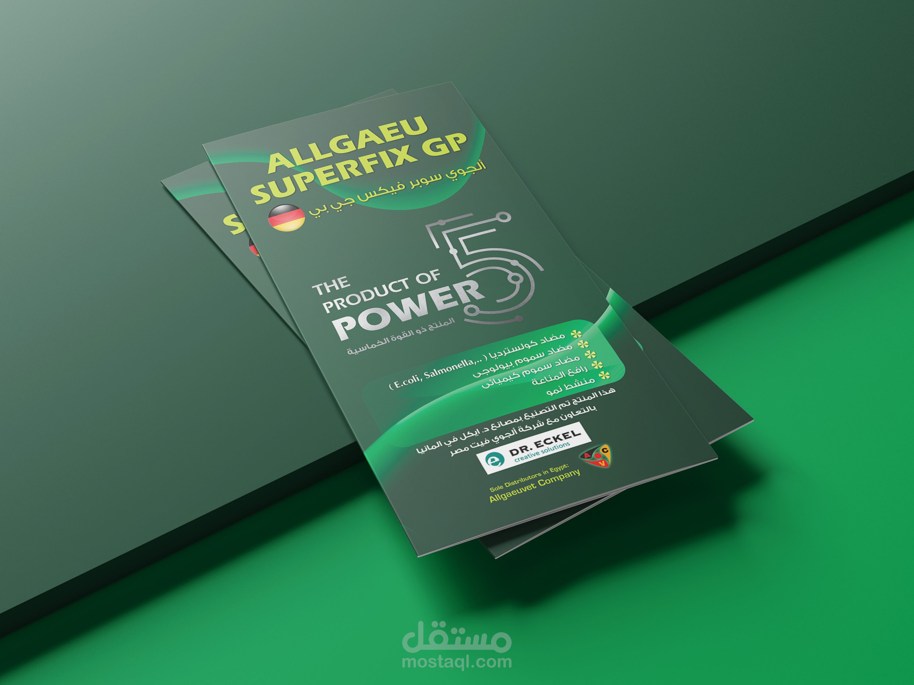 تصميم بروشور / Tri-Fold Brochure