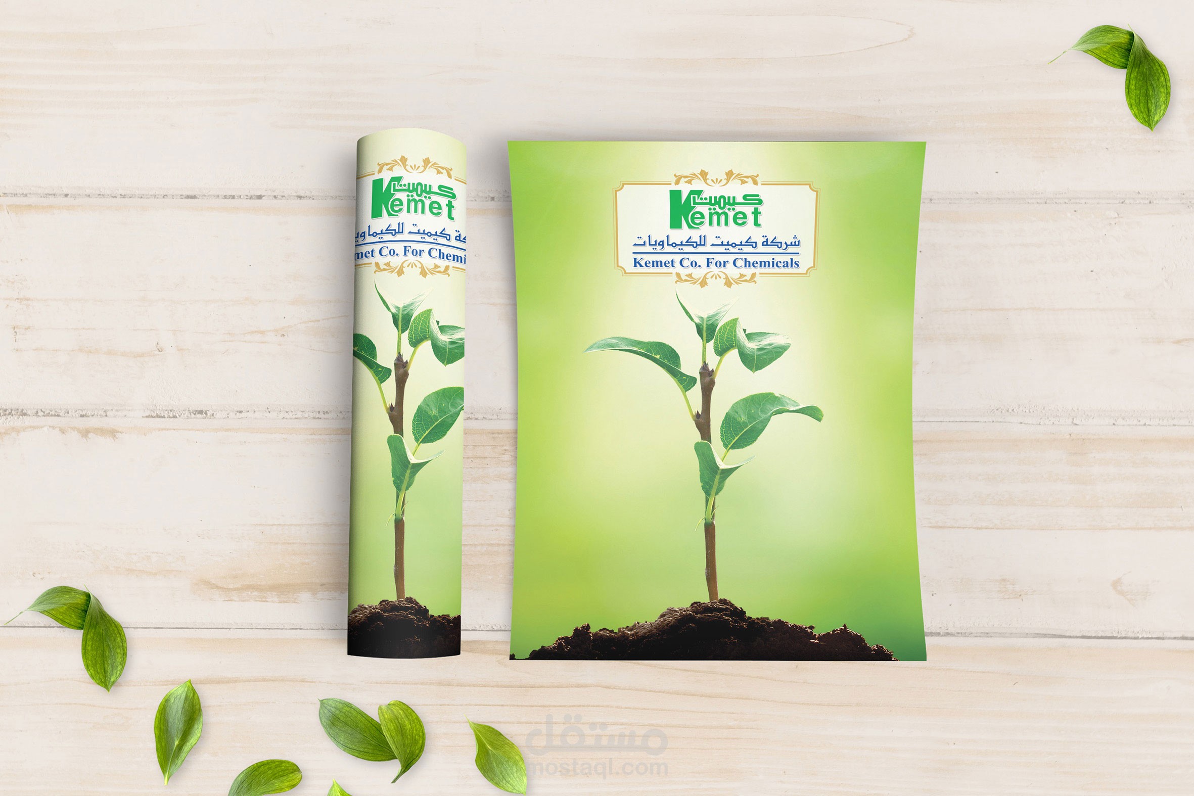 تصميم فلاير /  Flyer design