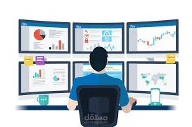 منسق قطاع الصناعة برنامج دعم وتطوير التعليم الفنى والتدريب المهنى فى مصر TVET2