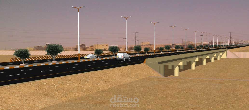 الرياض