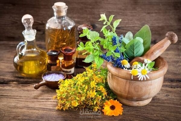 إعداد مشروع زراعي عن بعض الأعشاب و النباتات الطبية و العطرية في المنطقة الوسطى في سورية