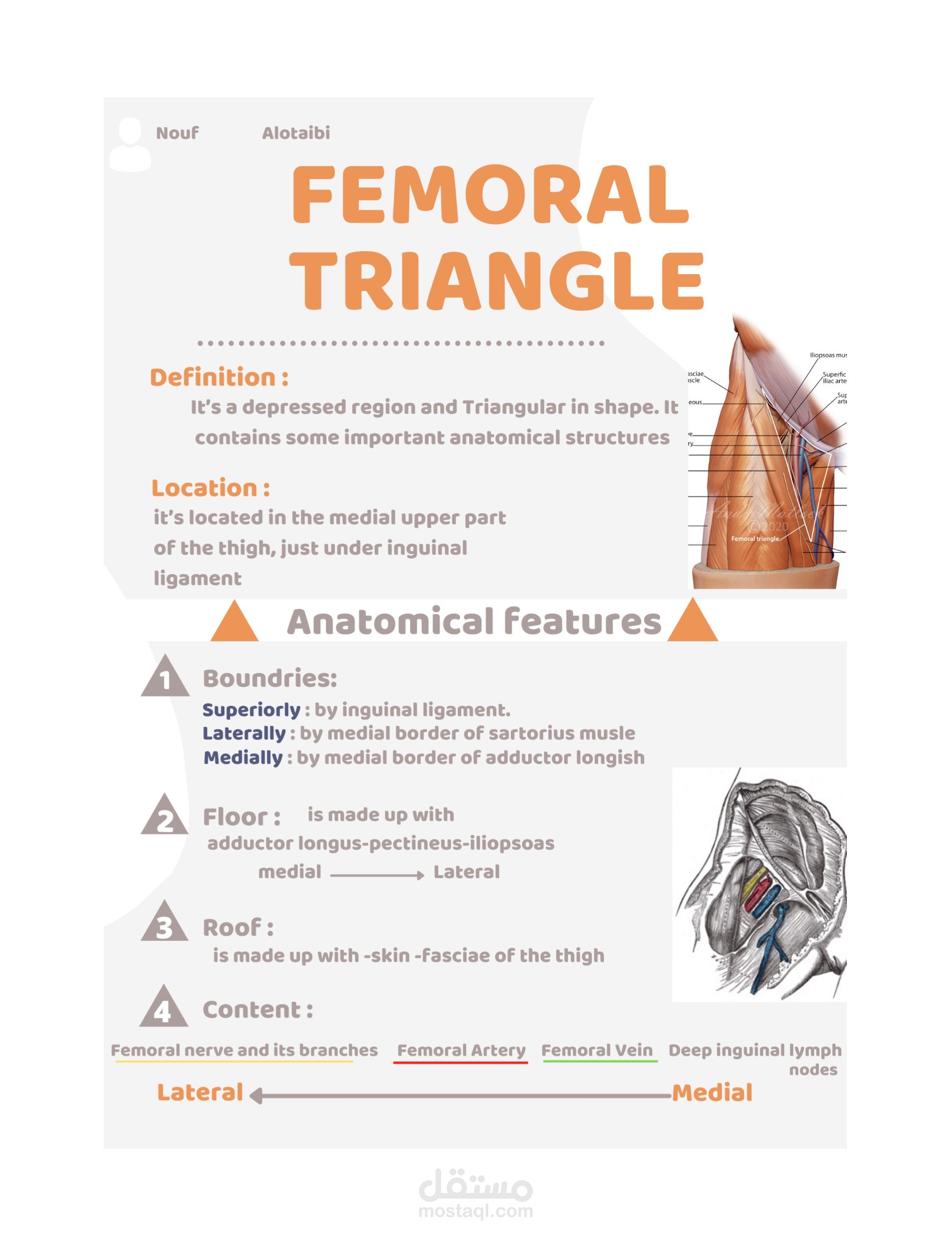 محتوى علمي عن مرض الشفة الأرنبية عرض، Femoral triangle poster