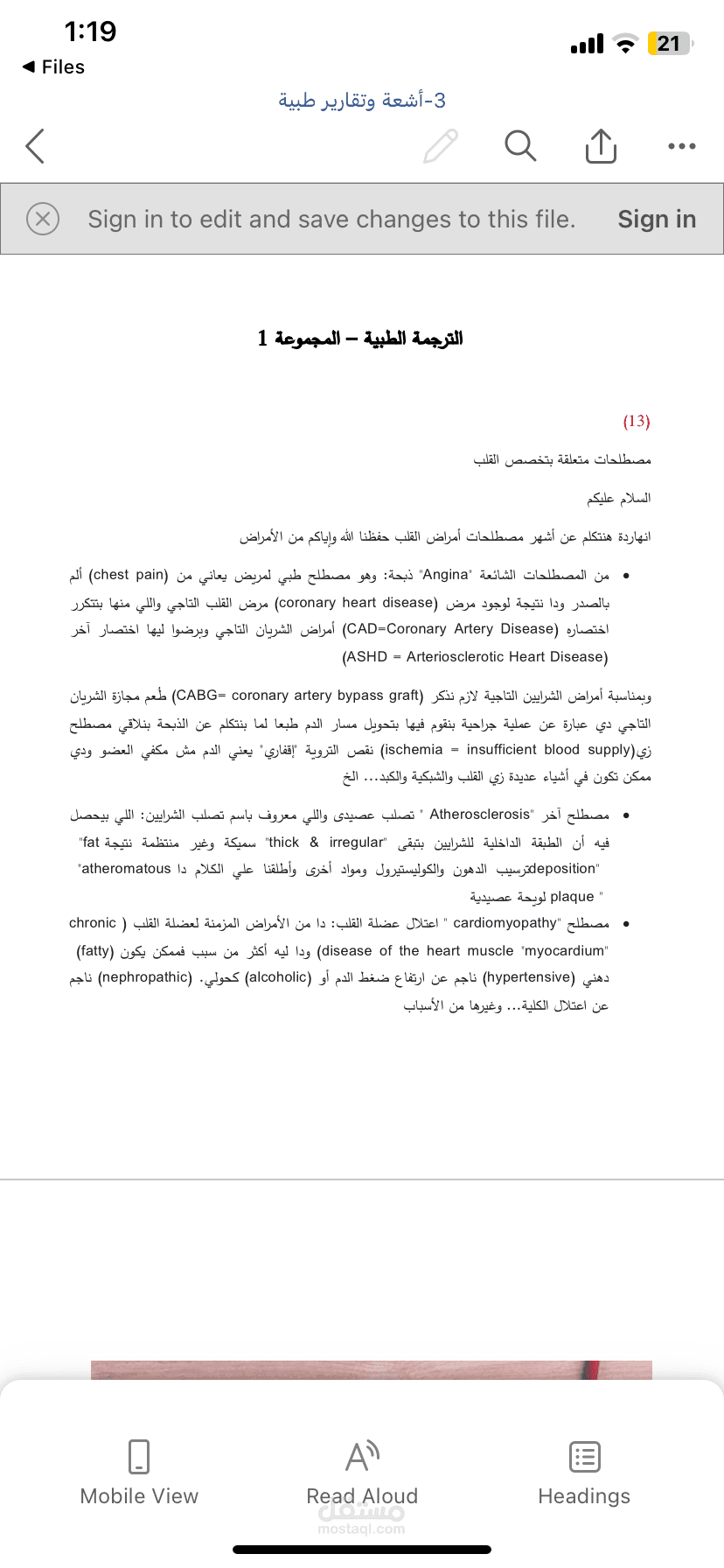 الاسكندرية- مصر