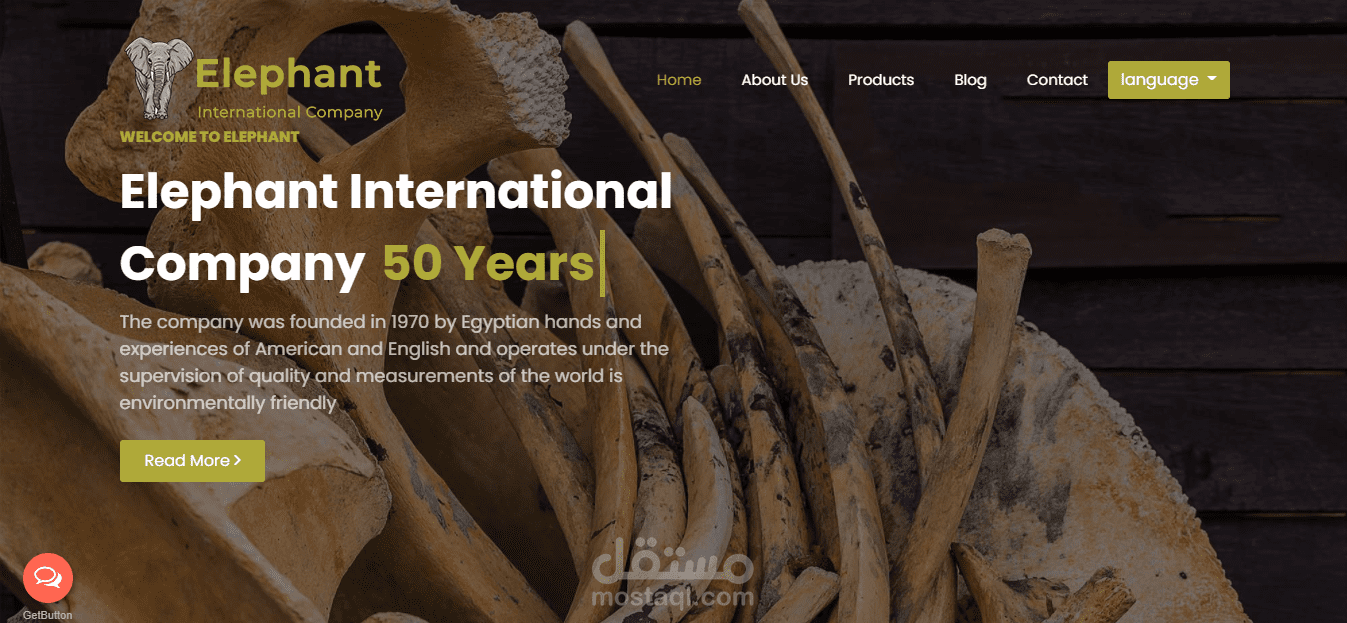 elephant-co.com