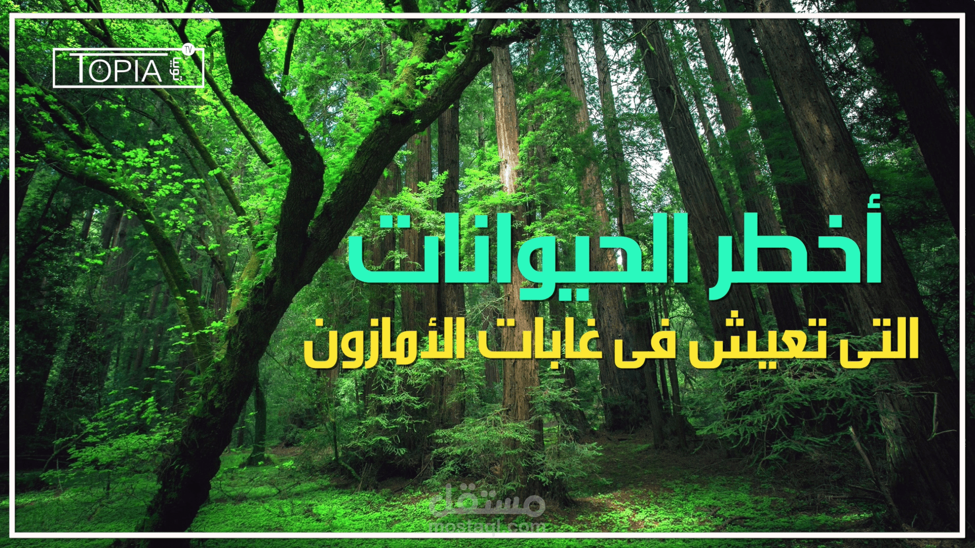 مونتاج لفيديو وثائقي قصير