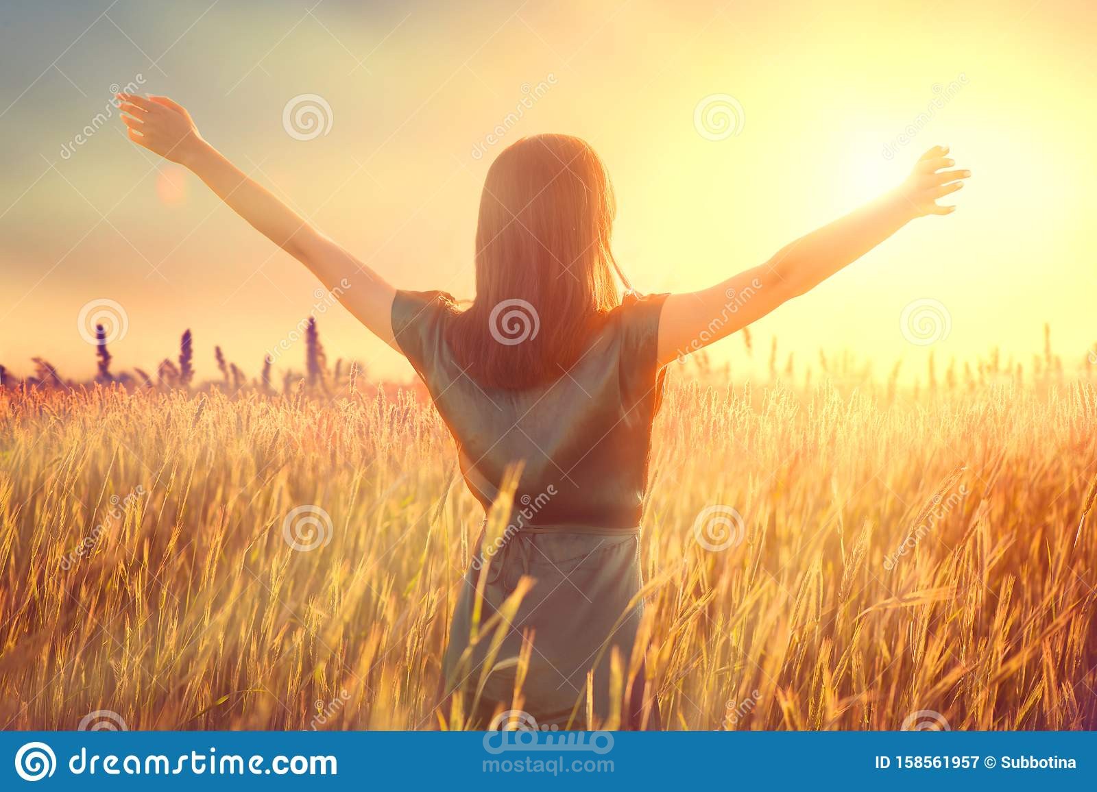 تصميم شرح بوربوينت