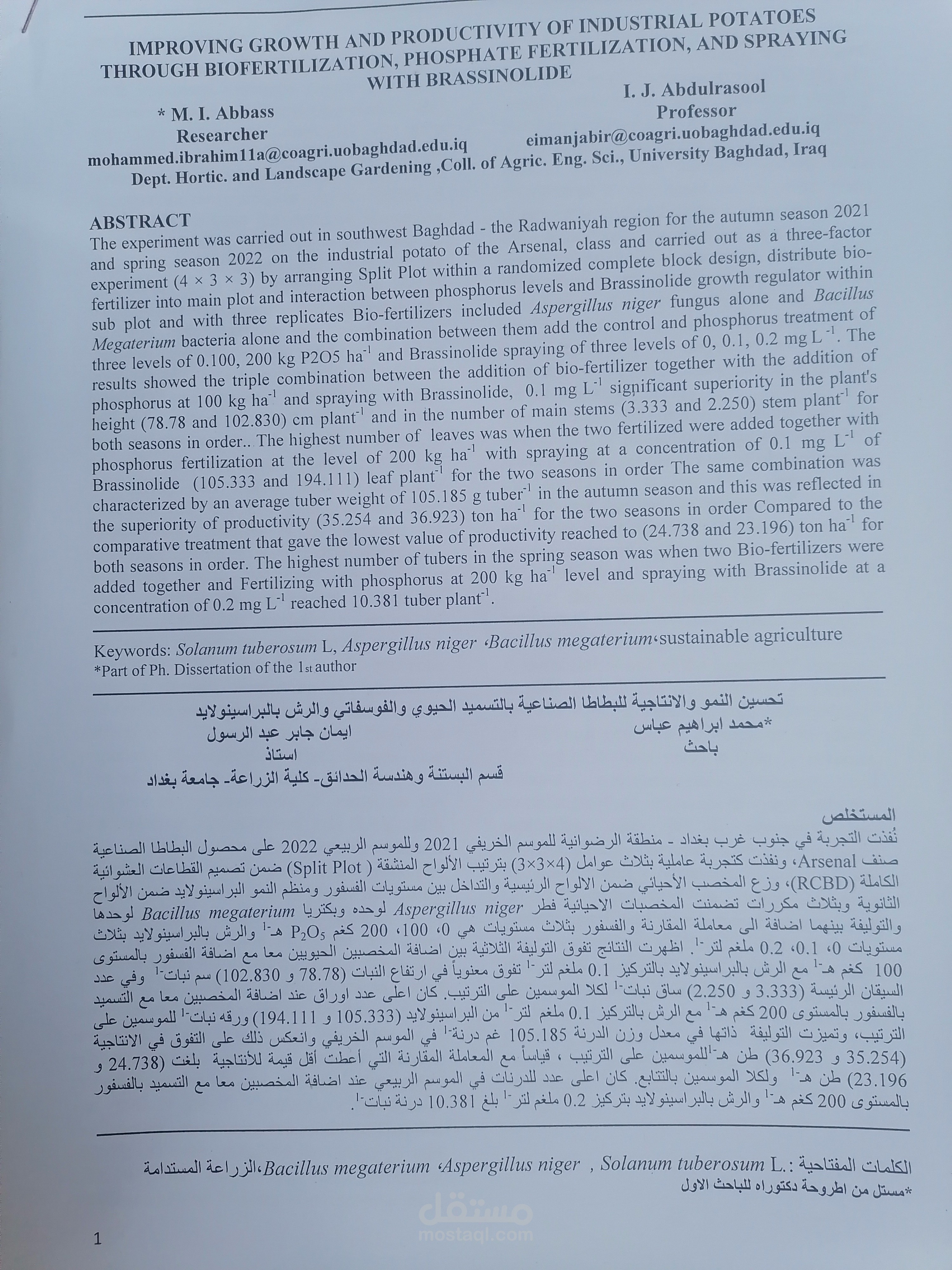 بحث بعنوان تحسين النمو والانتاجيه البطاطا الصناعية بالتسميد الحيوي والفوسفاتي والرش بالبراسينولايد