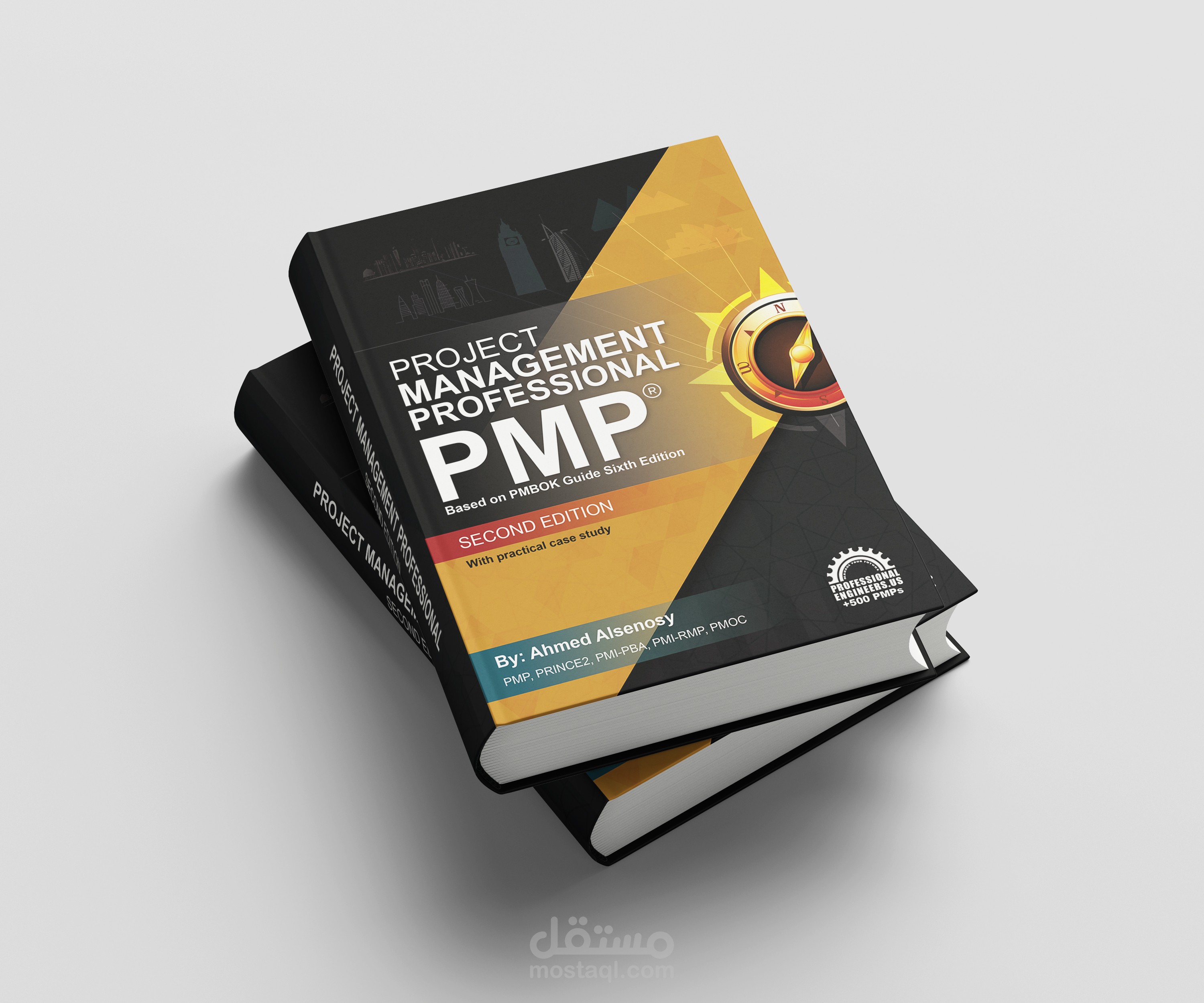 PROJECT MANAGEMENT PROFESSIONAL PMP