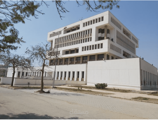 التصميم الانشائي للمكتبة المركزية جامعة المنيا