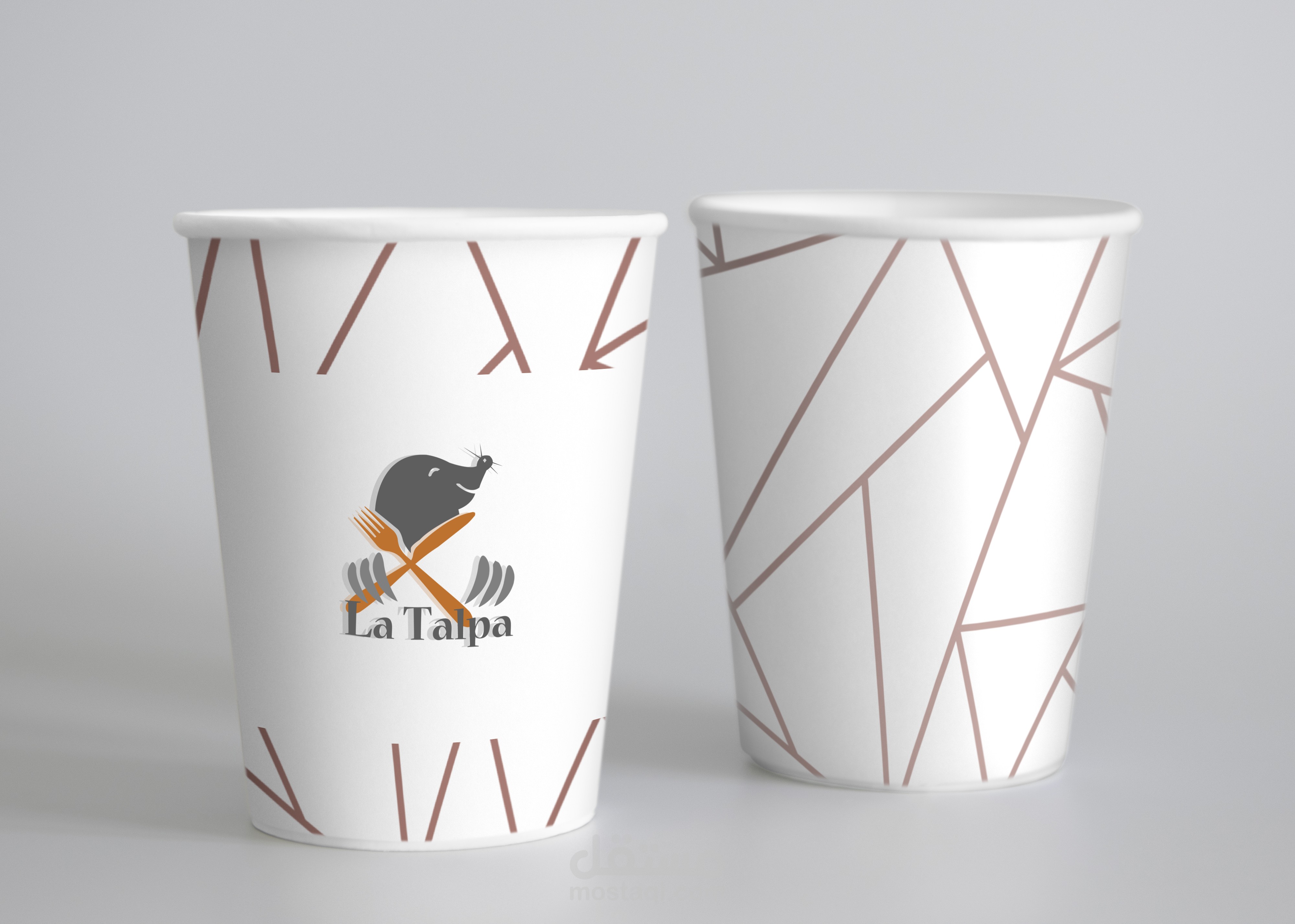 تصميم مطبوعات ورقية