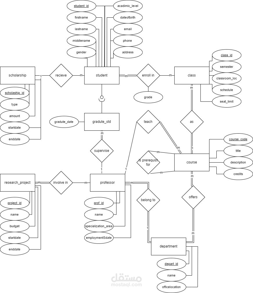 تصميم ERD وDatabase Schema لنظام إدارة جامعي