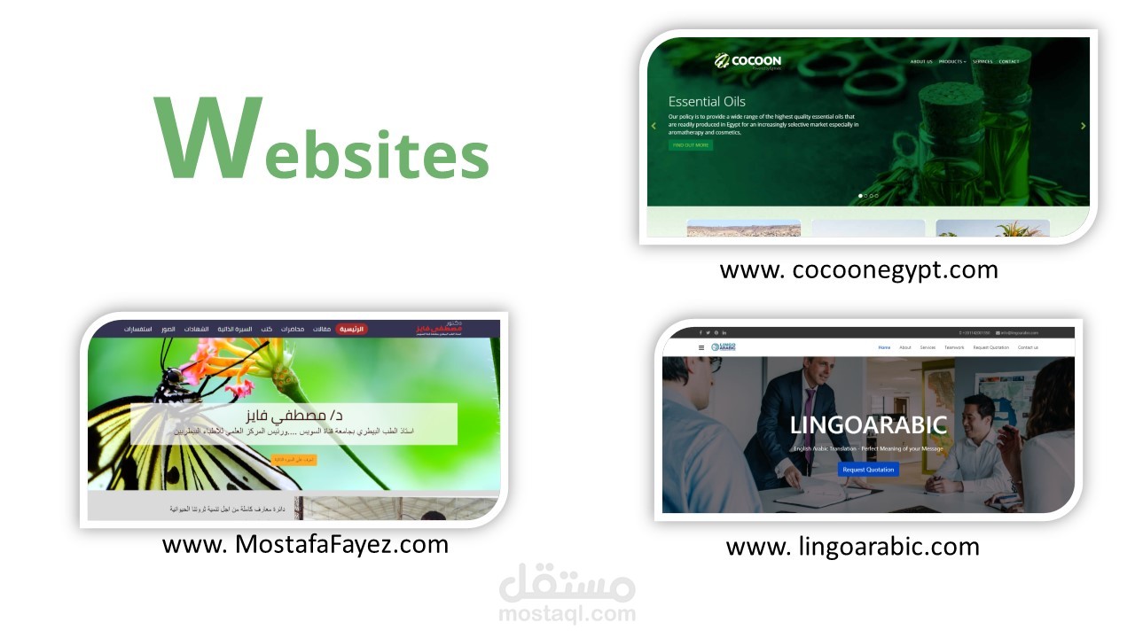 تصميم وتطوير وامن وحماية المواقع