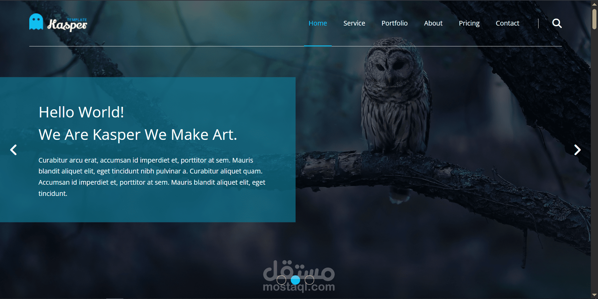 Kasper Responsive Multi-Section Website