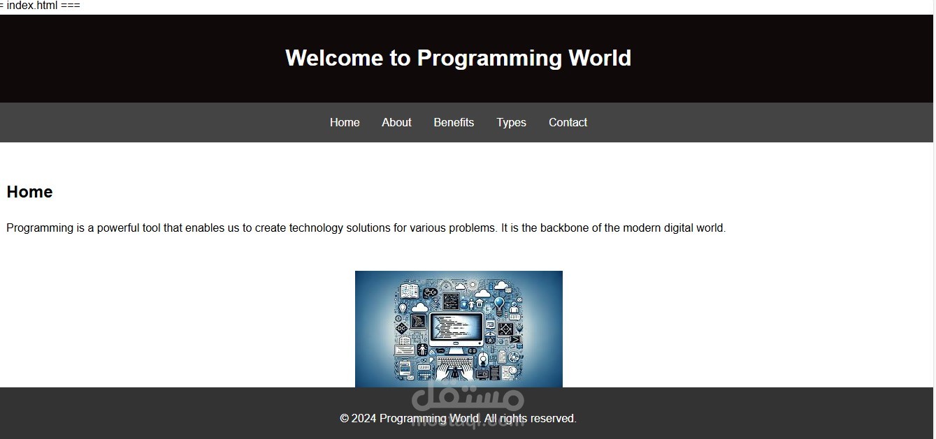 programming website