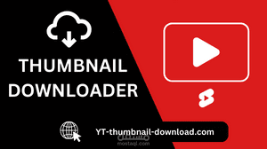 YouTube and Vimeo Thumbnail Downloads