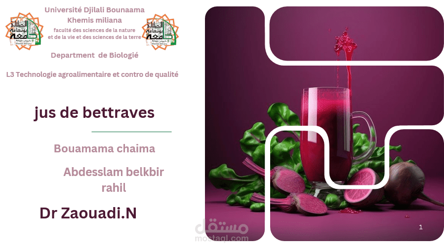 تصميم العروض التقديمية باحترافية