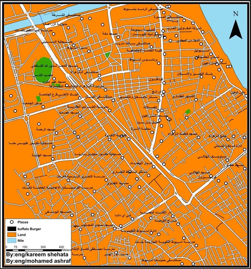 مطعم بافللو برجر ( فرع أسيوط )