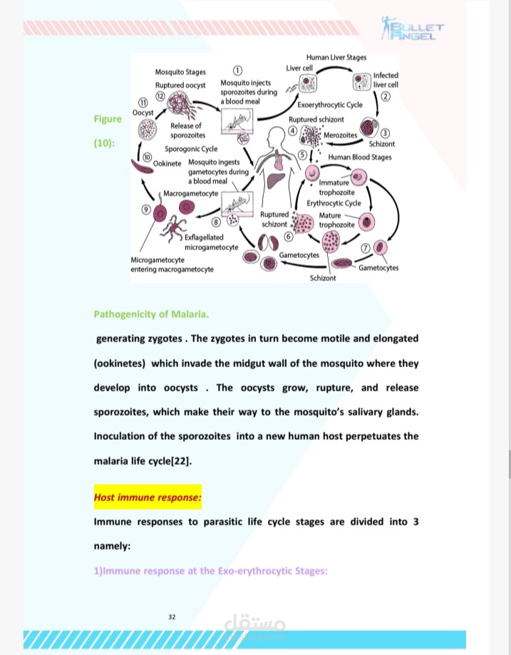 عمل ابحاث علمية واكاديمية بدقة عالية واحترافية