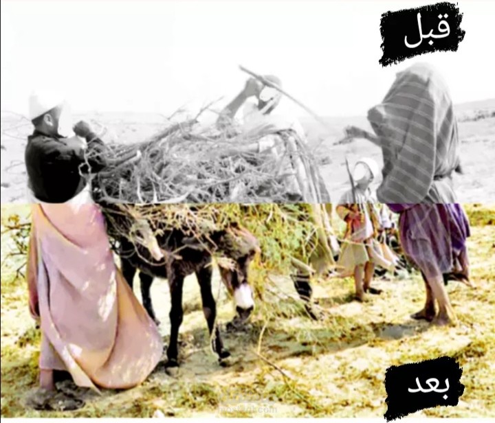 عائلة قروية تجمع الحطب