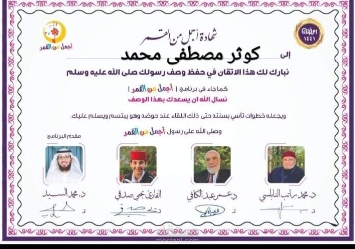 تعليق صوتى