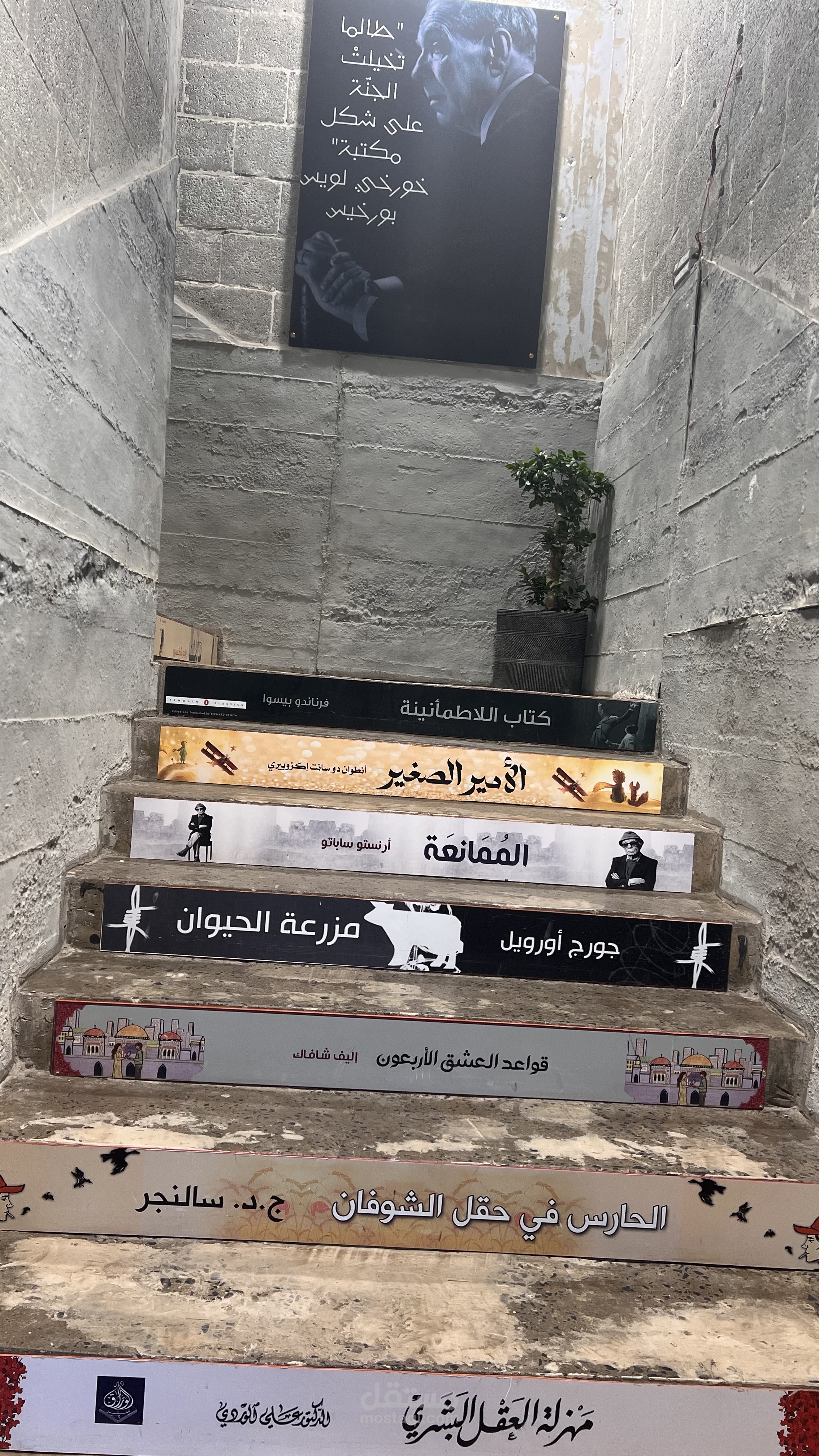 تعديل مقاطع الفيديو