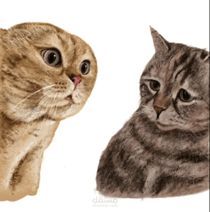 رسم ديجيتال