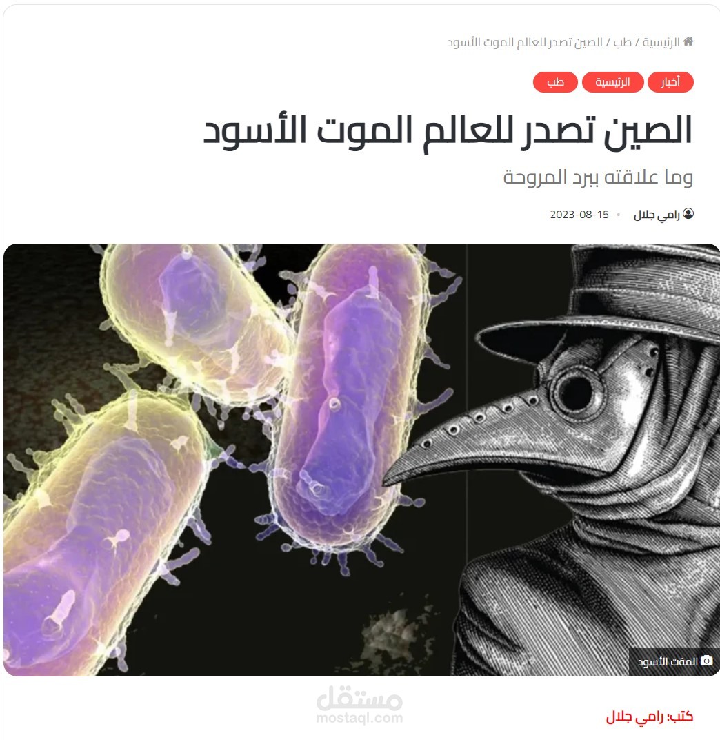 مقال على منصة حكاوي مصر - 2