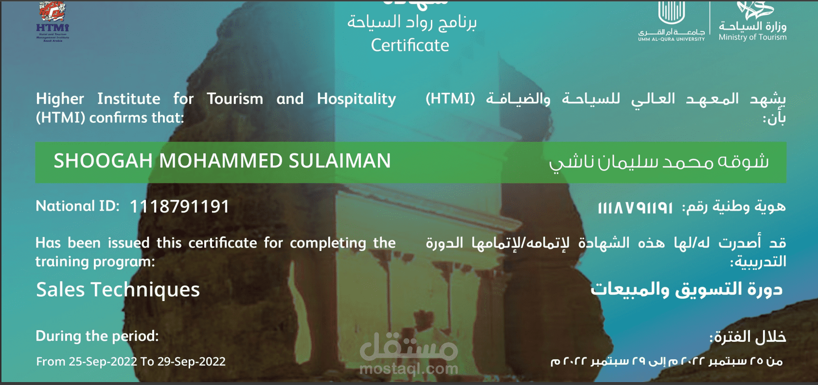 التسويق والمبيعات