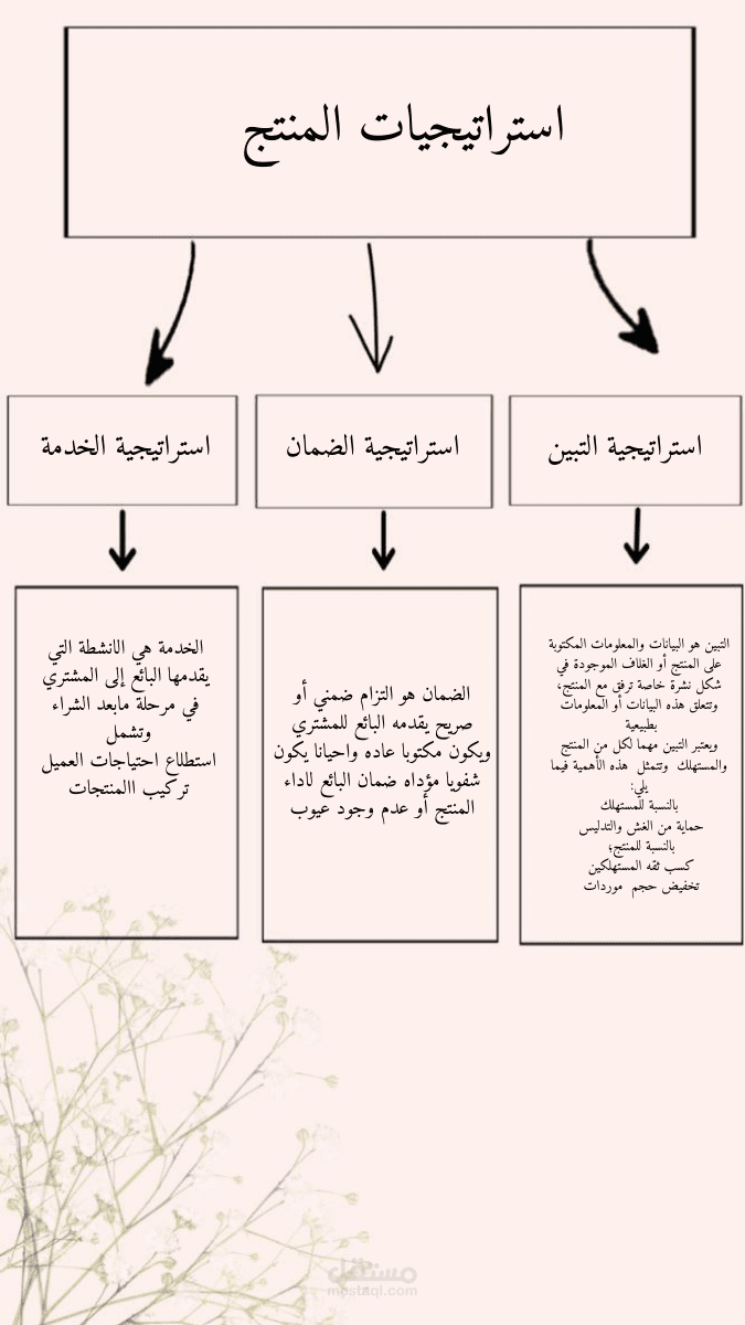 استراتيجية المنتج