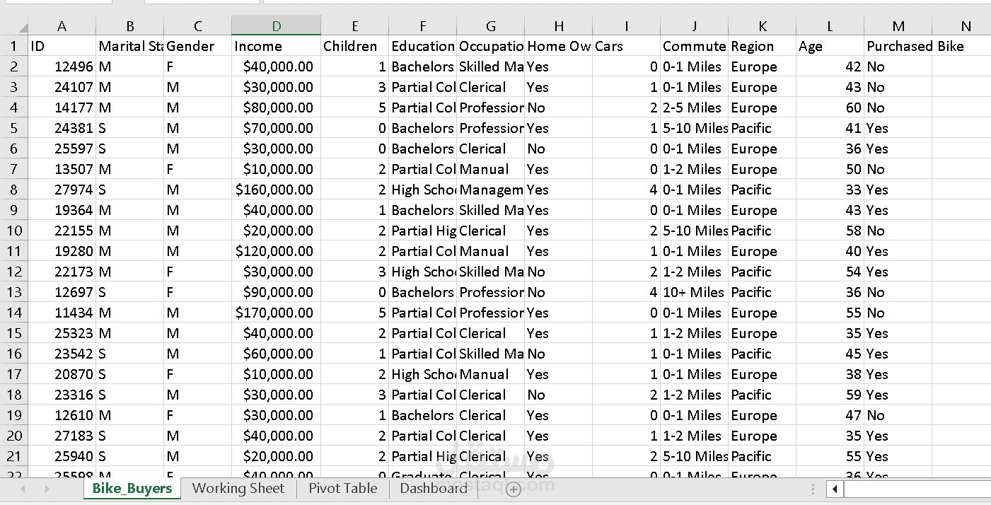 Excel Project