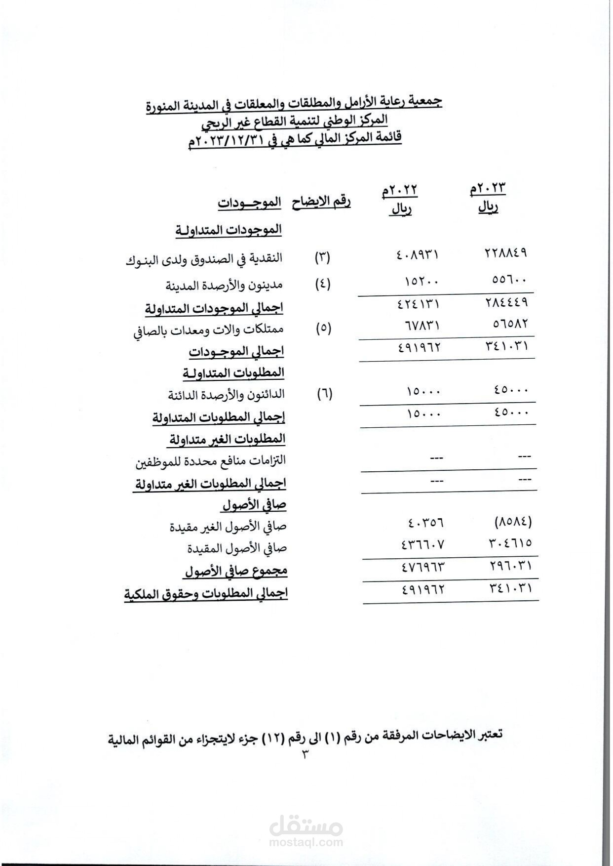 التقارير المالي لجمعية رعاية الارامل بالمدينة المنورة
