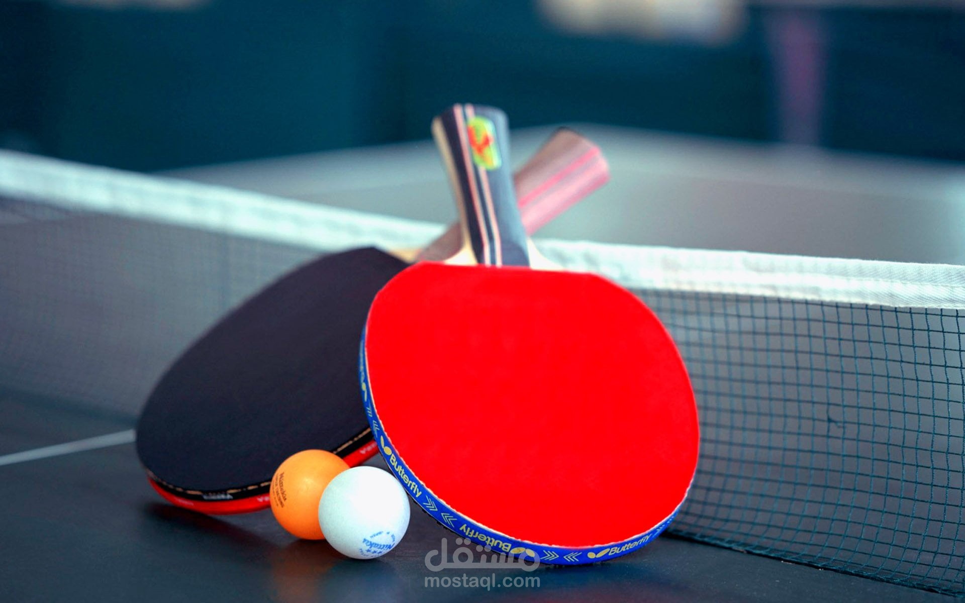 Online Ping Pong Website