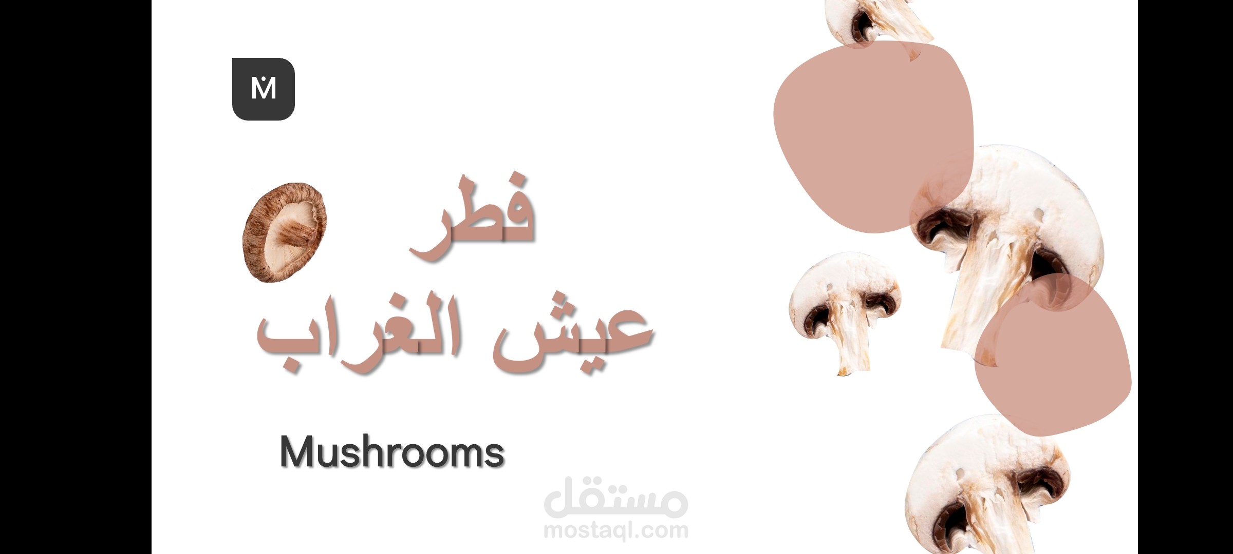 فطر عيش الغراب