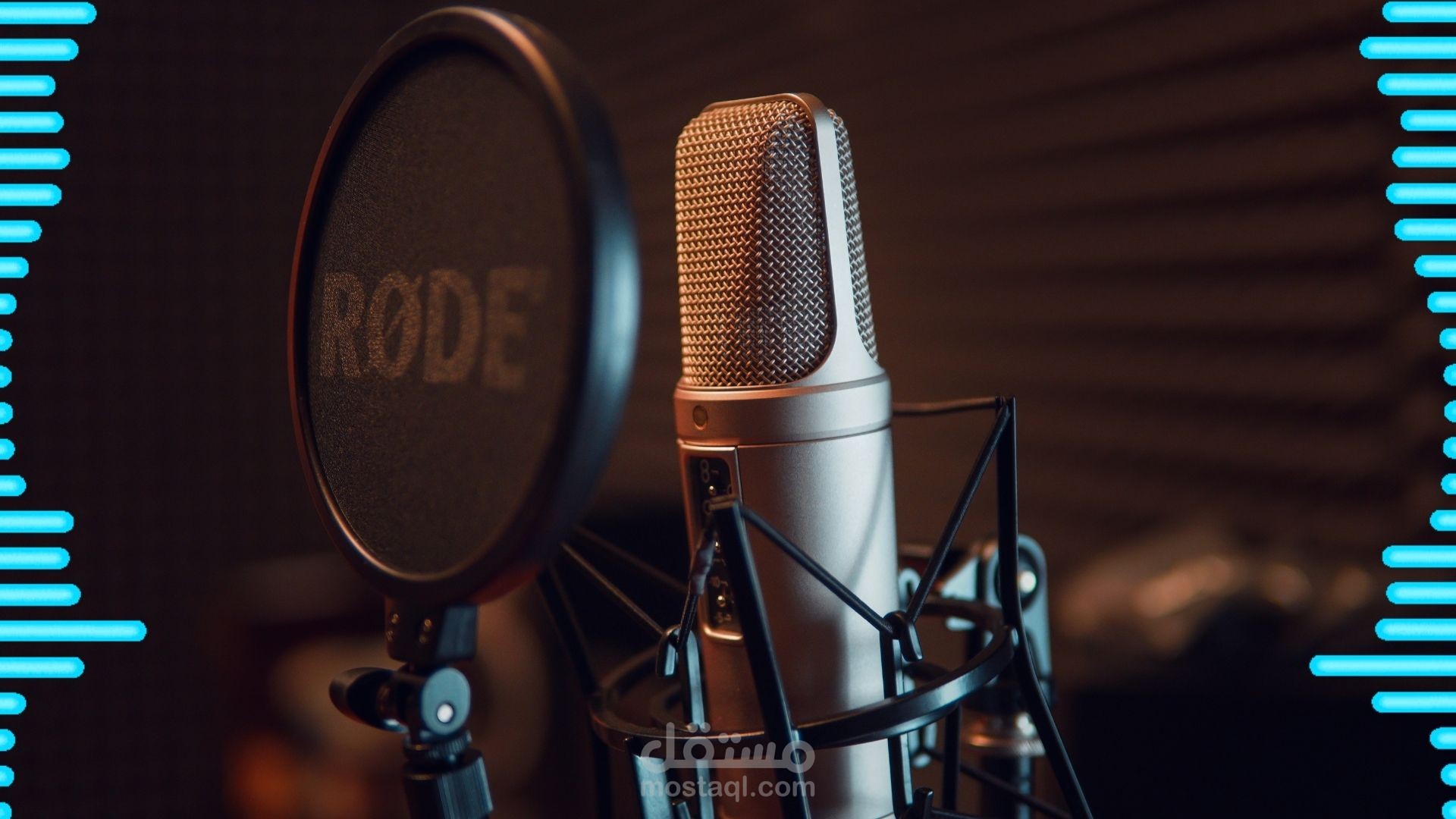 التعليق الصوتي