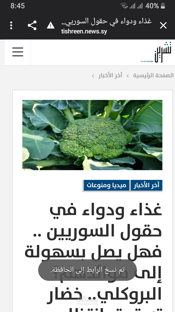 البروكلي غذاء ودواء في حقول  السوريين