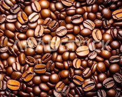 مقالا عن فوائد و اضرار القهوة