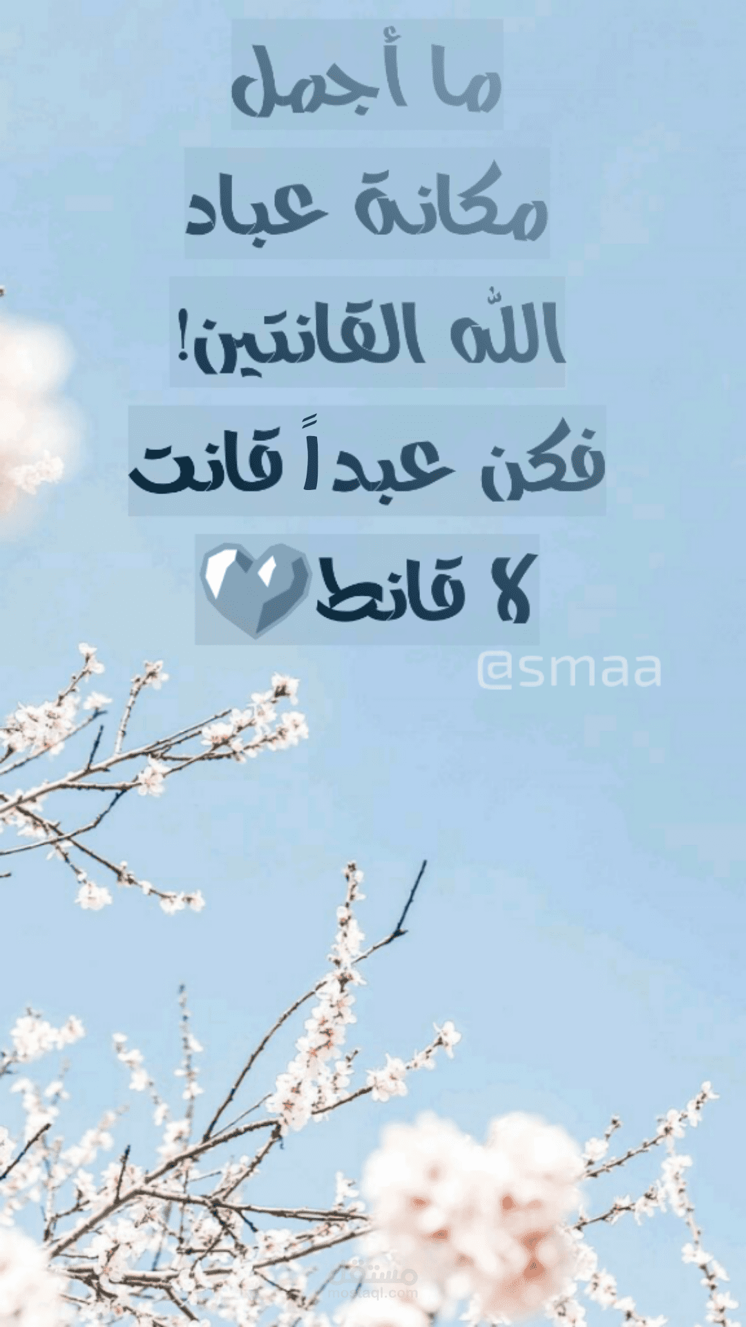 تصميم وكتابة